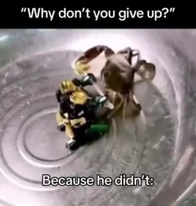 you can do anything