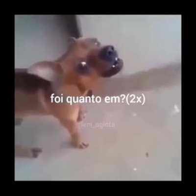 Flamenguista!!!