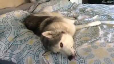 aaaaAA