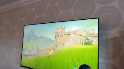 Wholesome 100!! Dad made custom Controller for her specialy abled daughter so she could play Zelda: Breath of the wild.