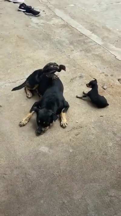 Play Time 🤗