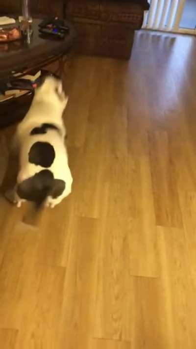 He&rsquo;s so grateful for getting one of his favorite snacks