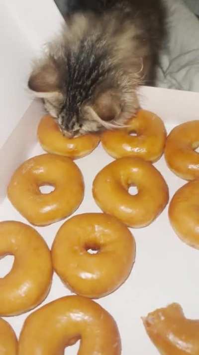 Future Chonker 🤣