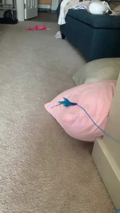 If you blink you&rsquo;ll miss it