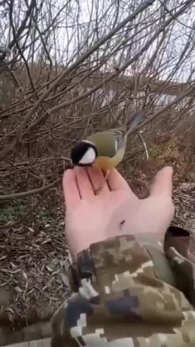 Ukraine's Airforce has a new recruit