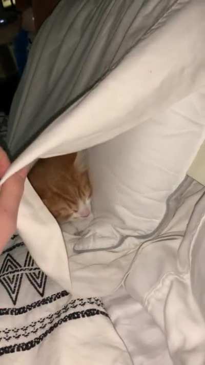 Wait for it...