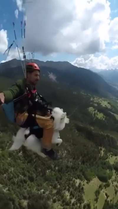 Man paraglides with dog as a mount up and above the forests.