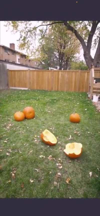 A collection of man turning into random objects