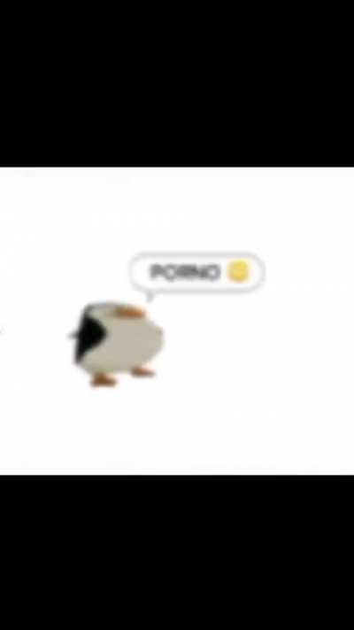 BeelcitosMemes - Video #1258
