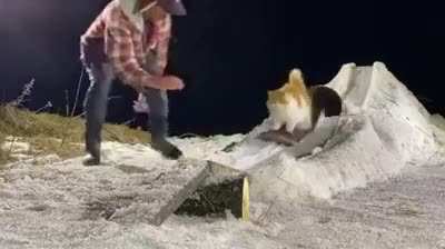 weeeeeeeeeeeeee