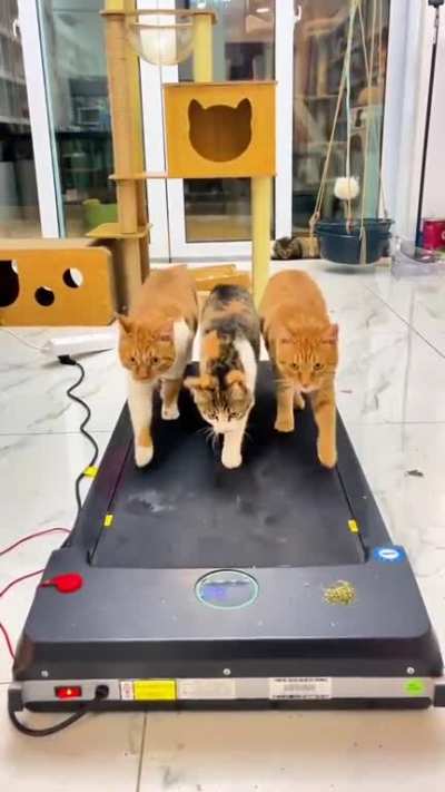 Maybe Maybe Maybe