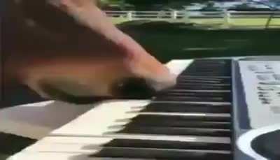 Damn he got dem pipes 😳