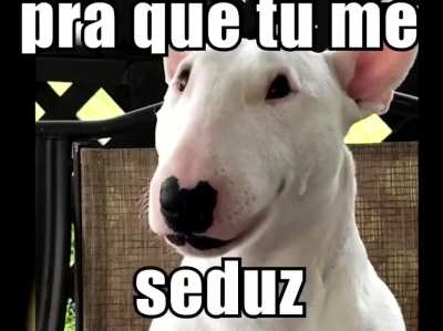 Tiririca.