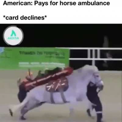 Horse Ambulance Can&rsquo;t Hurt You