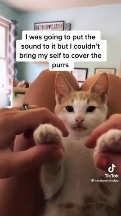 His motor is running purrfectly