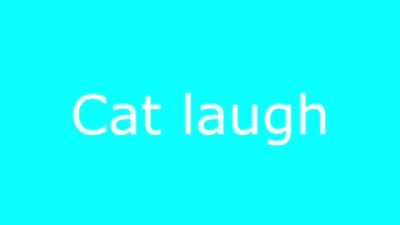 Top 5 Cat's