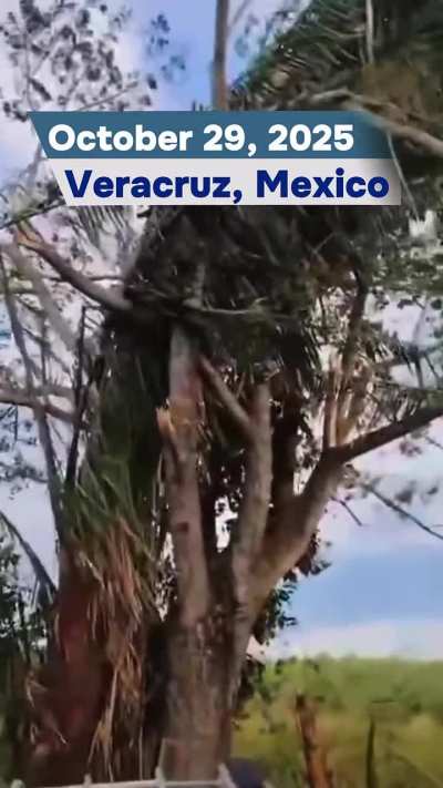 October 29, 2025 | Extreme Weather Events &amp;amp; Natural Phenomena Worldwide