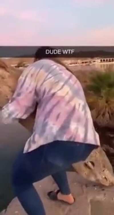 The log