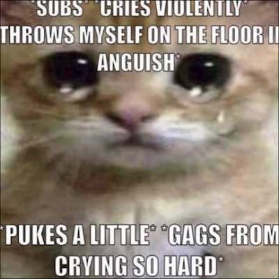 Sad cat does not have a very good day :(