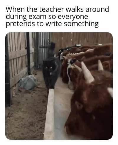 Put your head down