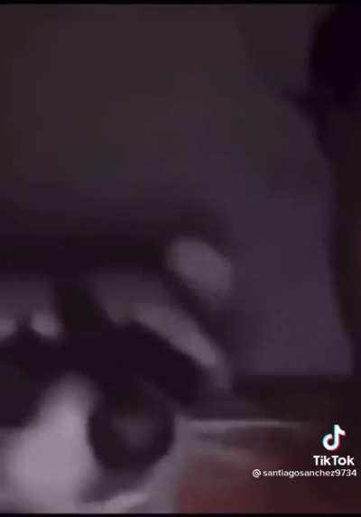 jakertown - Video #1208