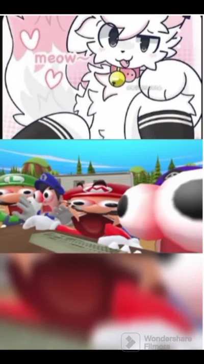 Furry_irl