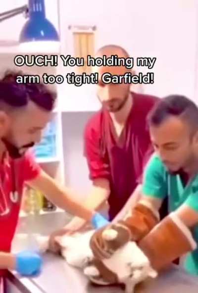 Garfield NOOO&hellip;