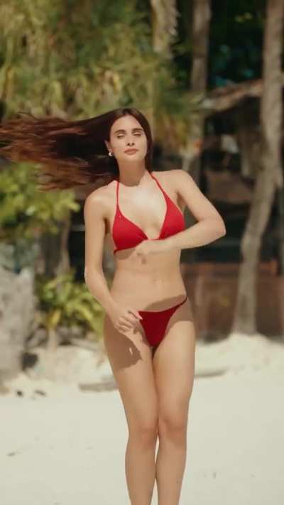 Max Collins