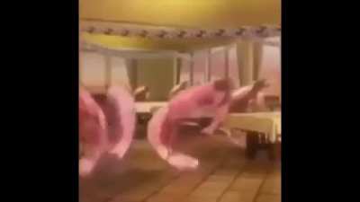 Cursed shrimps