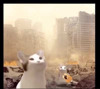 &lrm;