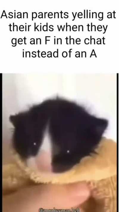 Why not an A ?!?!?