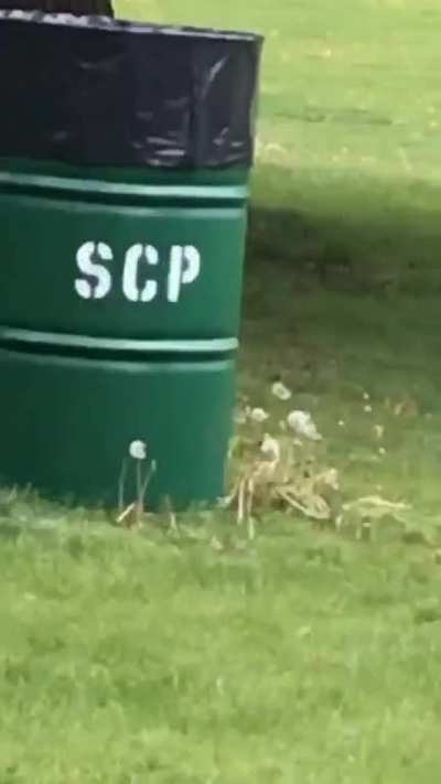 Went to the park and.. I think I&rsquo;m in trouble