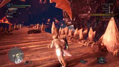 "I main the Kinsect" "You mean the Insect Glaive?" "No, the Kinsect"