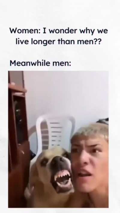 Drum&amp;Dog