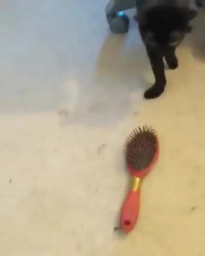 Shitted