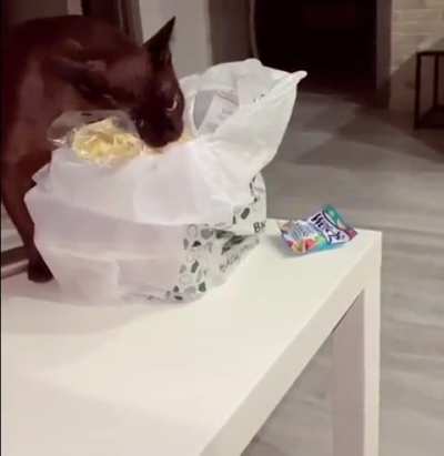 He steal a bread and run away