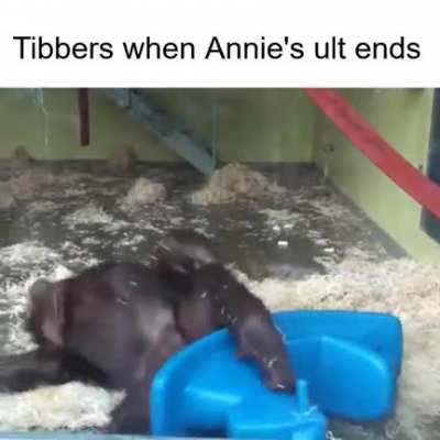 rip
