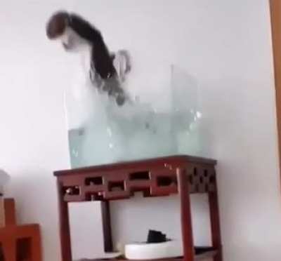 Oups