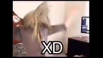 XD MOMENTO