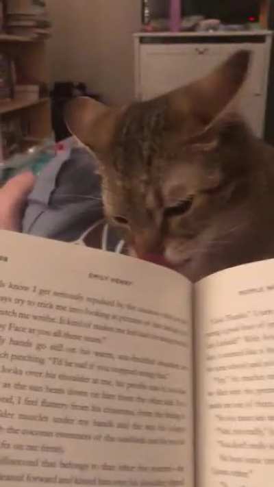 I was just trying to read my new book and Leo wasn&rsquo;t having it