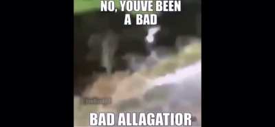 RIP my homie
