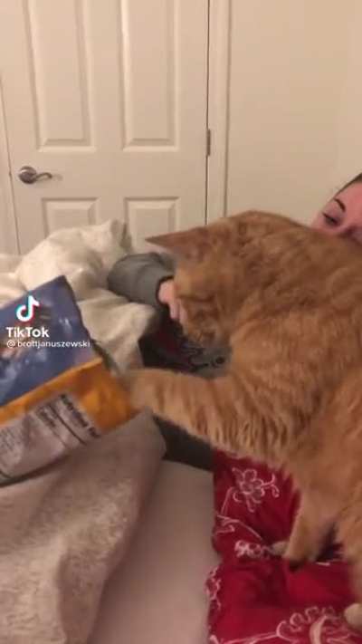 Poor cat 🙀