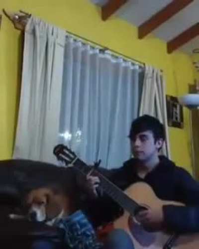 NOOOO FIRULAIS QUE TE COMISTE