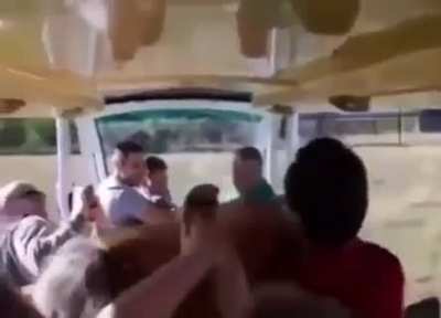 Львица набросилась на машину с зоотуристами