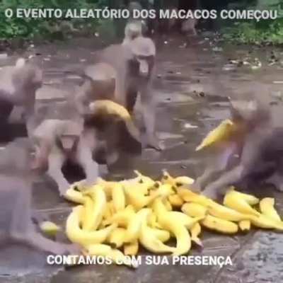 CONTAMOS COM VOC&Ecirc;