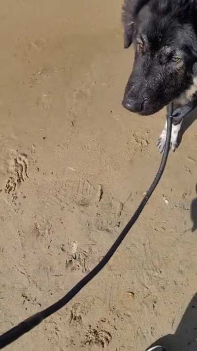 First time at the beach!