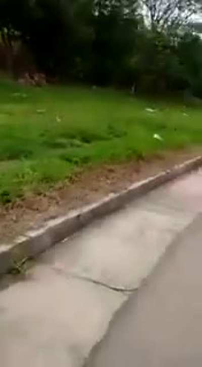 Ejercito asesina civiles.