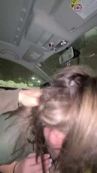 he wanted me to pull over for a bj, so i did
