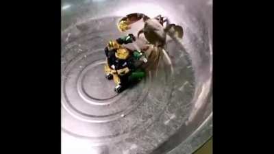 crabagon