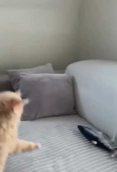 He is in doubt ...